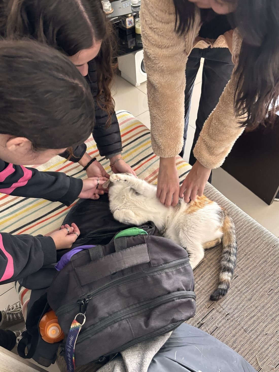 Estudiantes con gata
