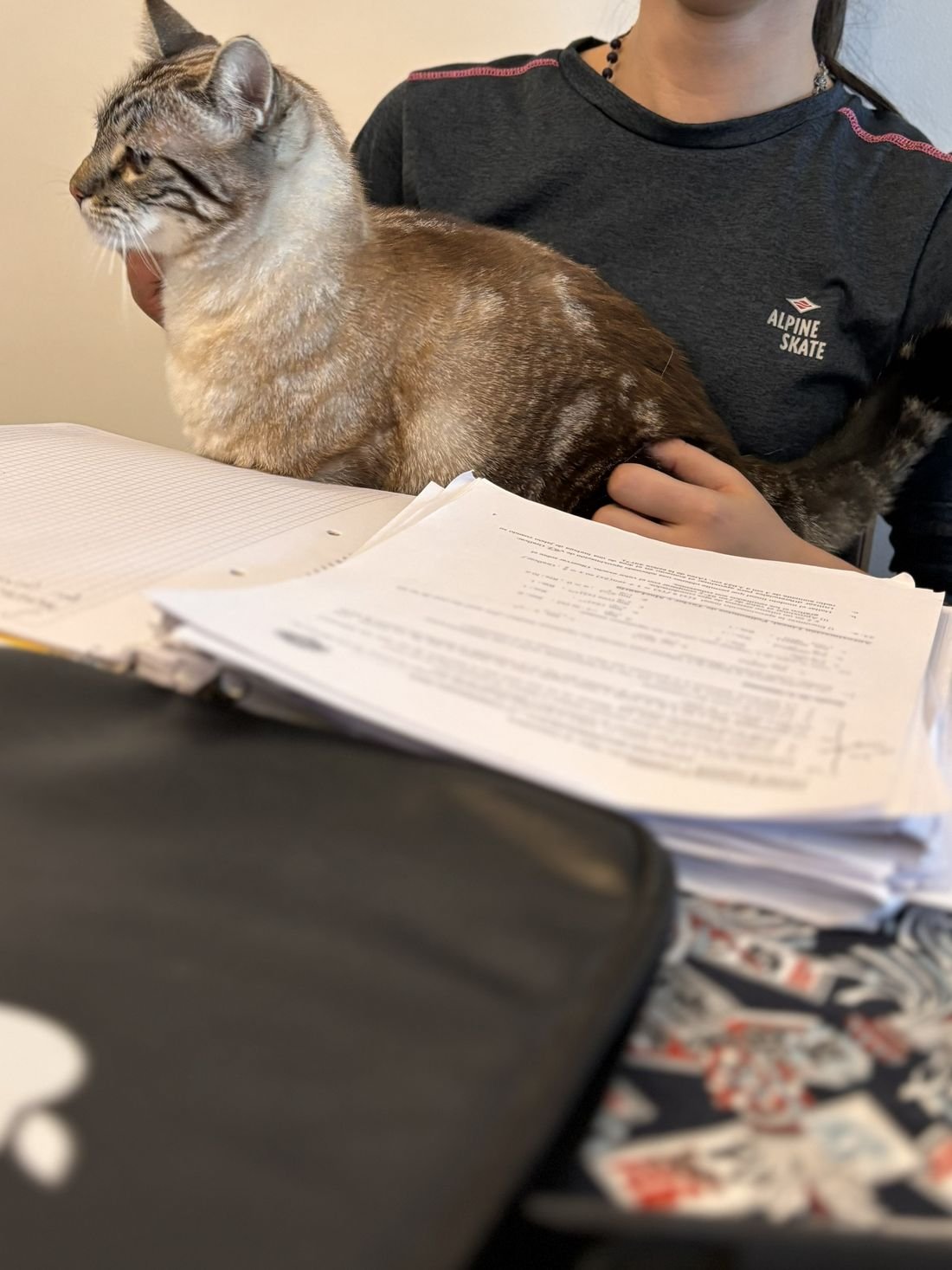 Gata con estudiante y carpeta