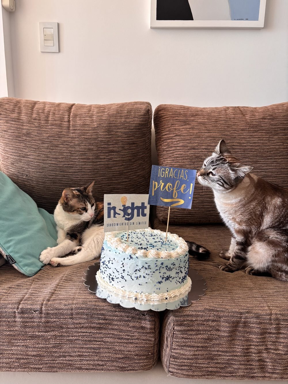 Elvira y Gema — el staff de Insight